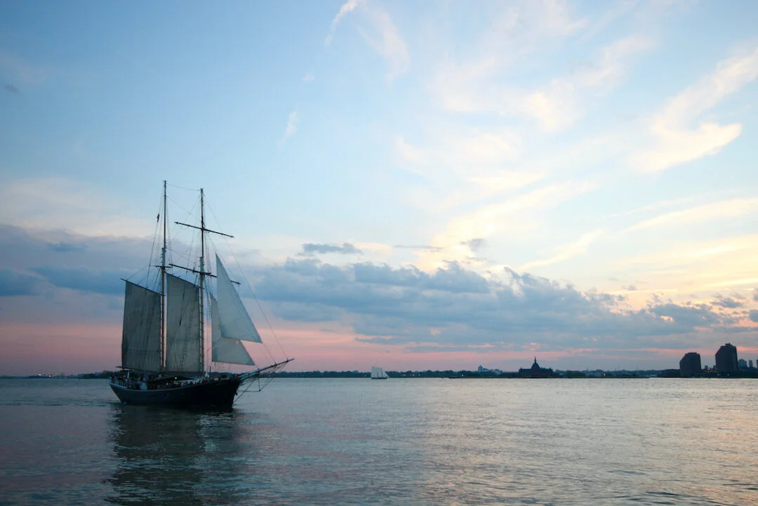 BatPark6-13-18 (1).jpeg