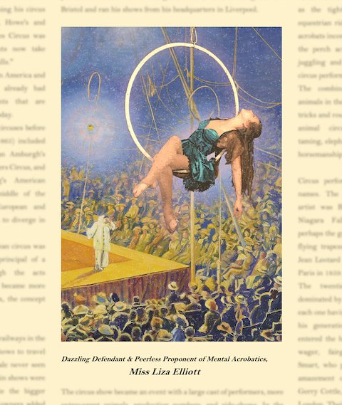 SLIDE 20 ACROBAT AND DEFENDANT FULL SIZE.jpeg