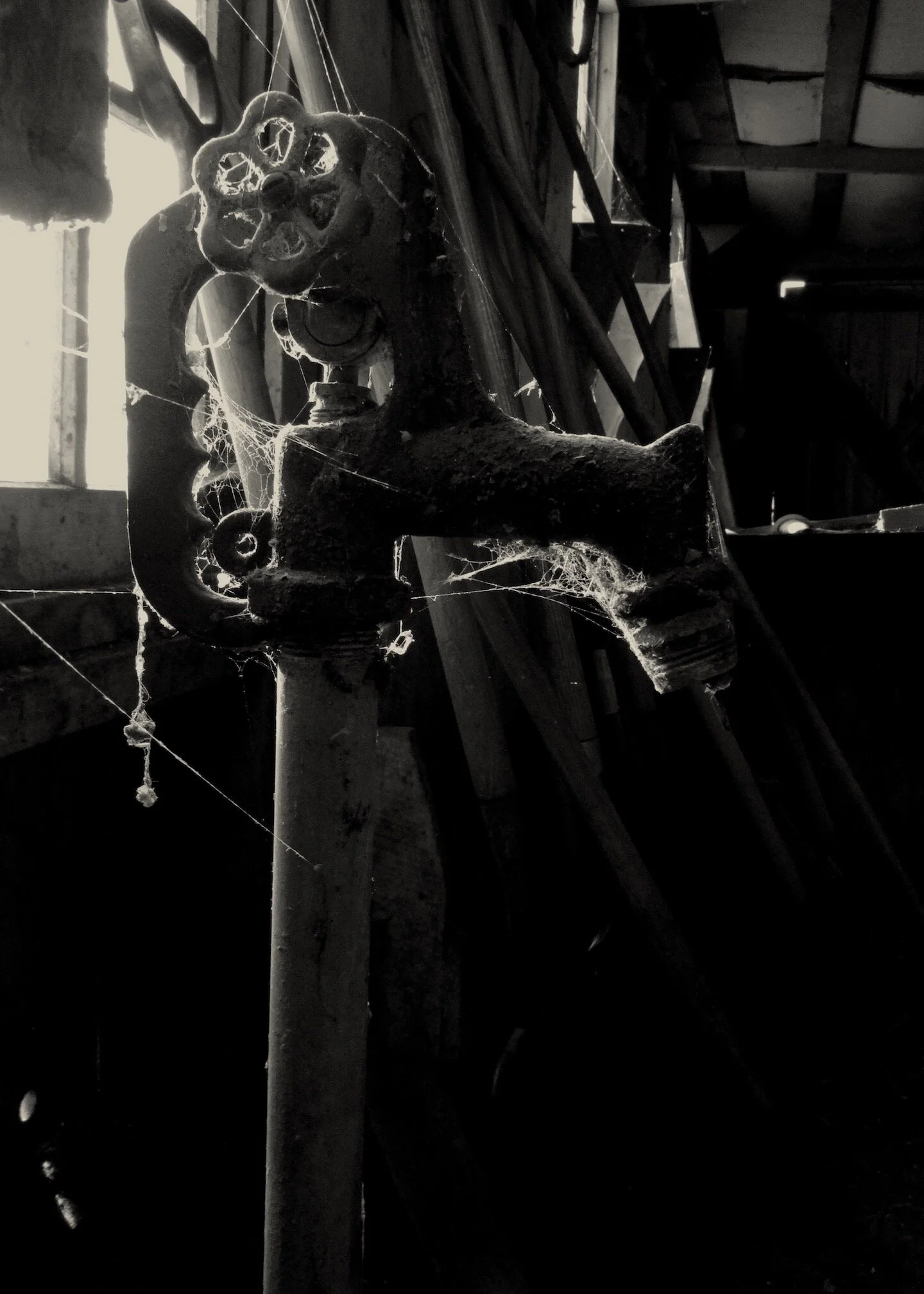 Farm Winter 2015- - 20.jpg