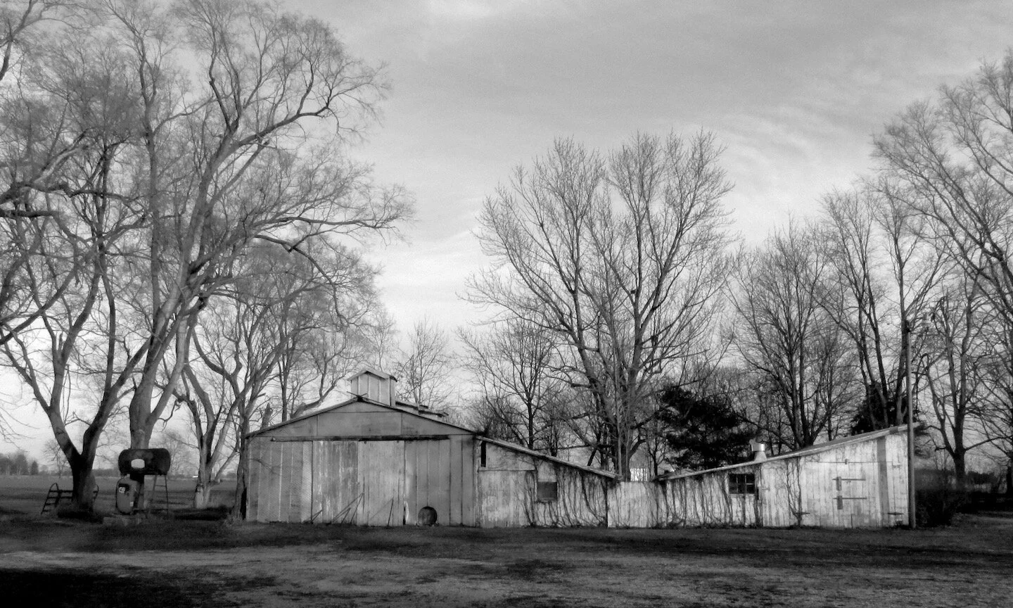 Farm Winter 2015- - 34.jpg