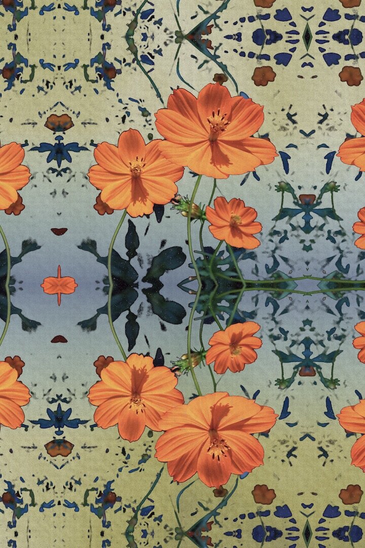 Tiled Flower Reflection 1 Reduced.jpg