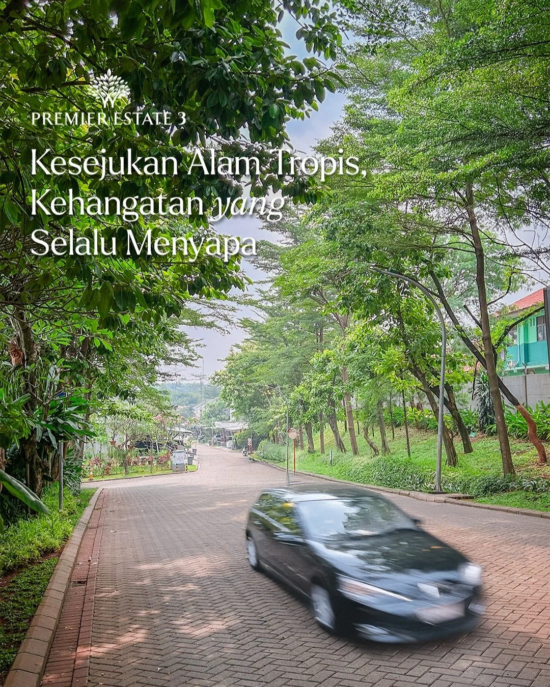 @premier.estate3.official menghadirkan rumah siap huni dalam satu kawasan eksklusif yang sudah tertata dengan asri untuk menjawab kebutuhan Anda.

Segera kunjungi show unit dan hubungi kami untuk informasi lebih lanjut di nomor 0878 1700 8800 atau kl