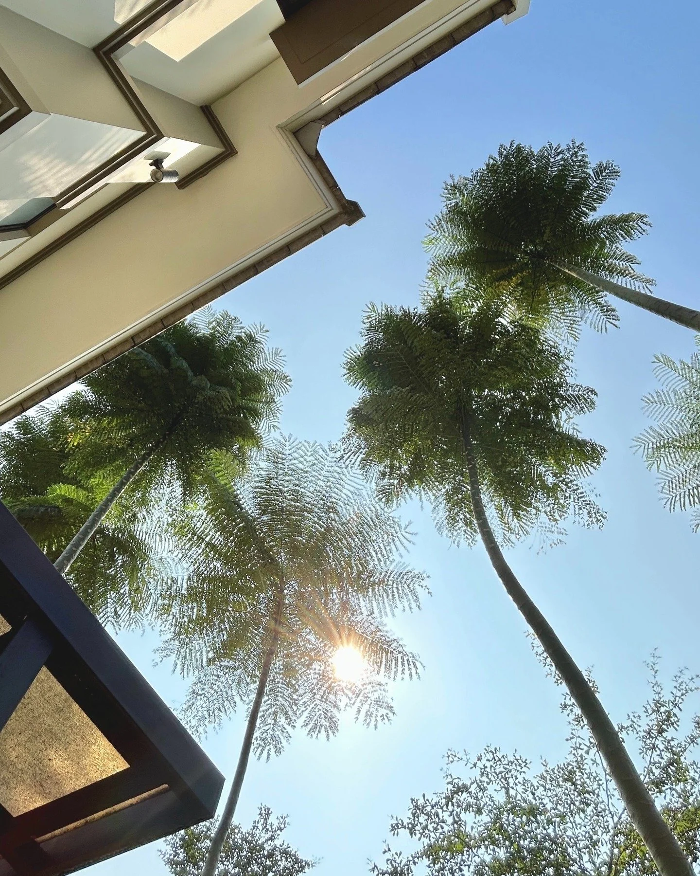 Di tengah kehidupan yang serba cepat, hadir ruang untuk bernapas, Gardenia Avenue.

Sebuah taman hijau yang membelah jantung kawasan hunian, menghadirkan ketenangan dan keindahan alami, tepat di depan rumah Anda.

Lebih dari sekadar lanskap, ini adal