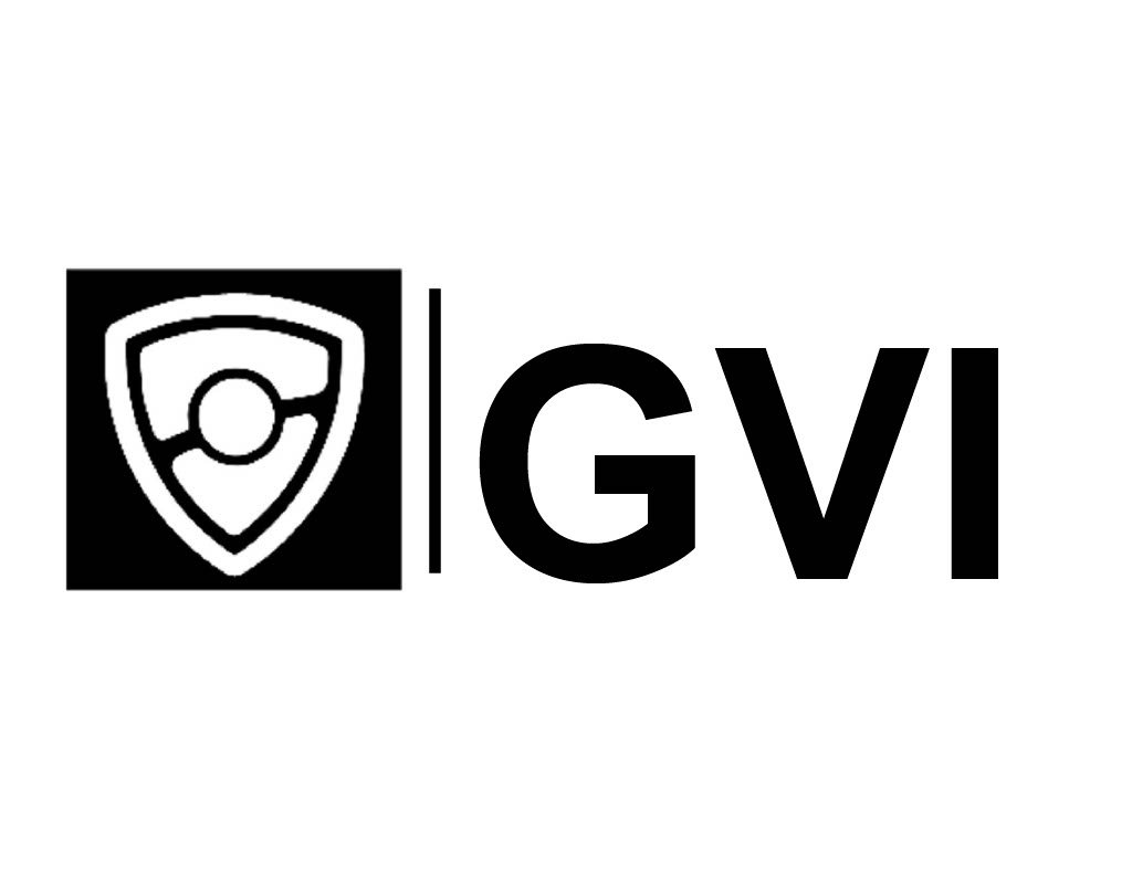 GVI - Management Services