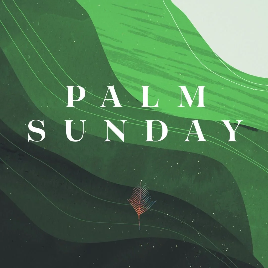 Palm Sunday 2024 - From Jericho To Jerusalem