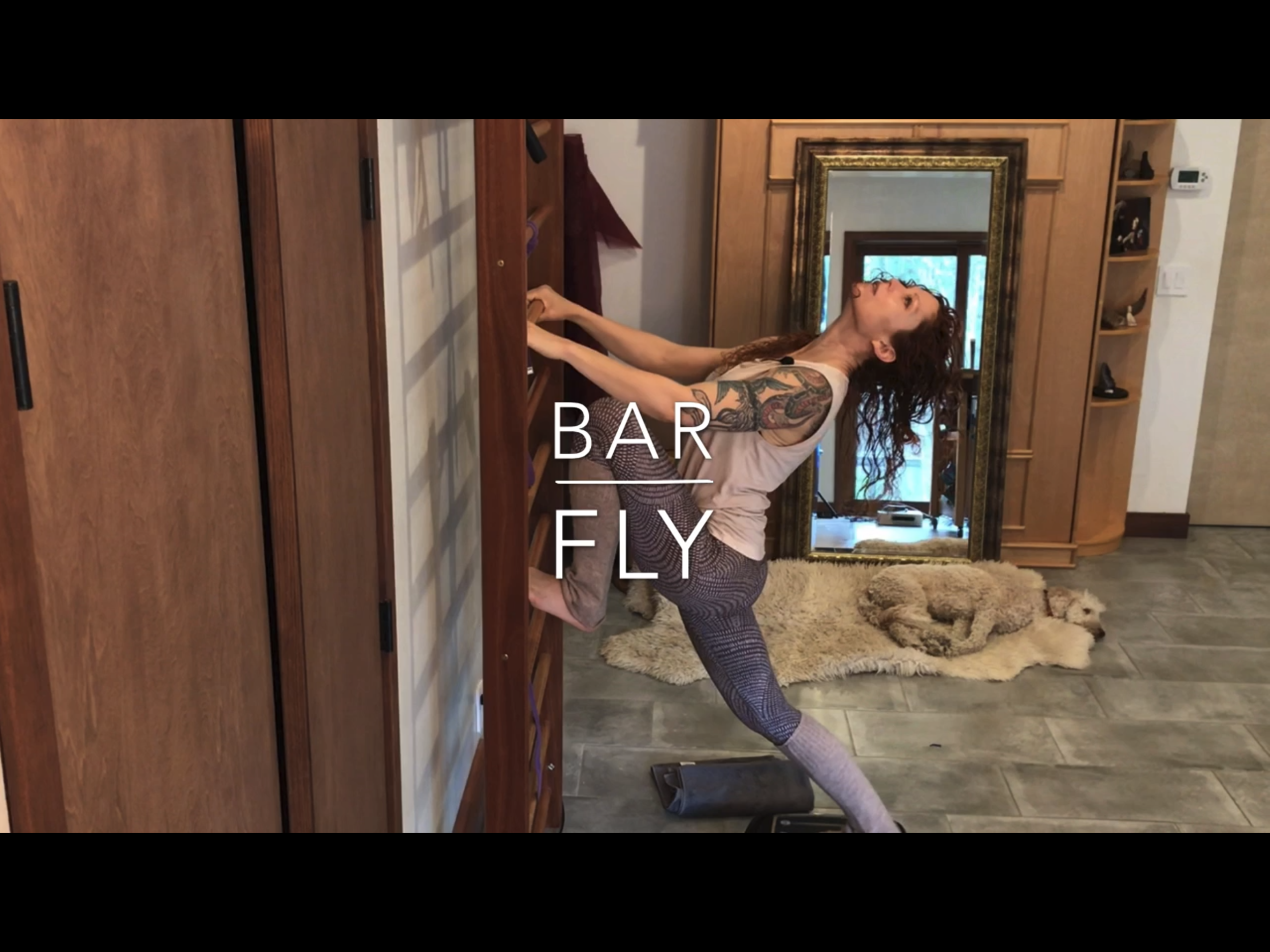 Bar/Fly - Galileo/Stall Bars introductory workout