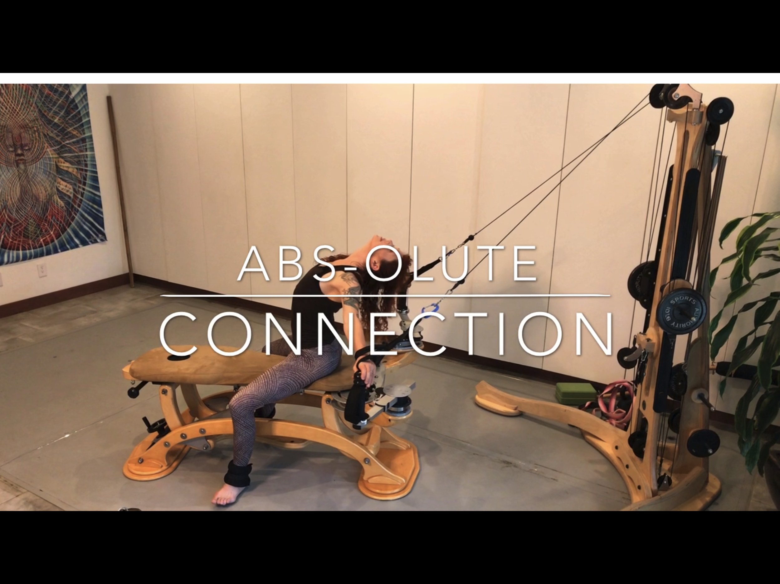 Abs-olute Connection 