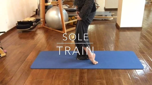 Sole Train