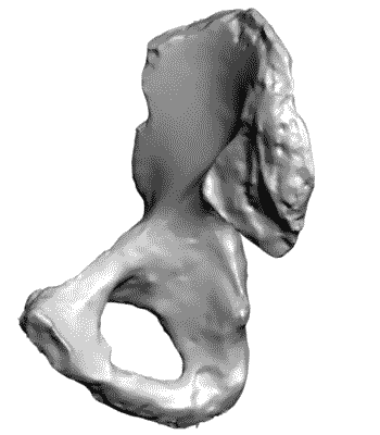 Reading this Blog will Enhance your Sex Life, Remove your Lower Back Pain, and give you a flat tummy in 15 minutes!