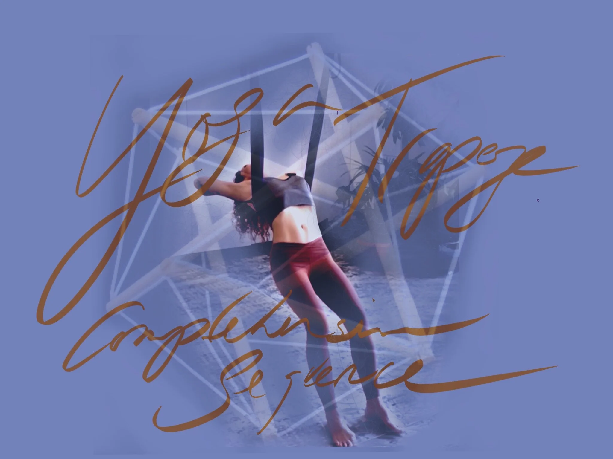 Comprehensive Warmup - Aerial Yoga/Trapeze