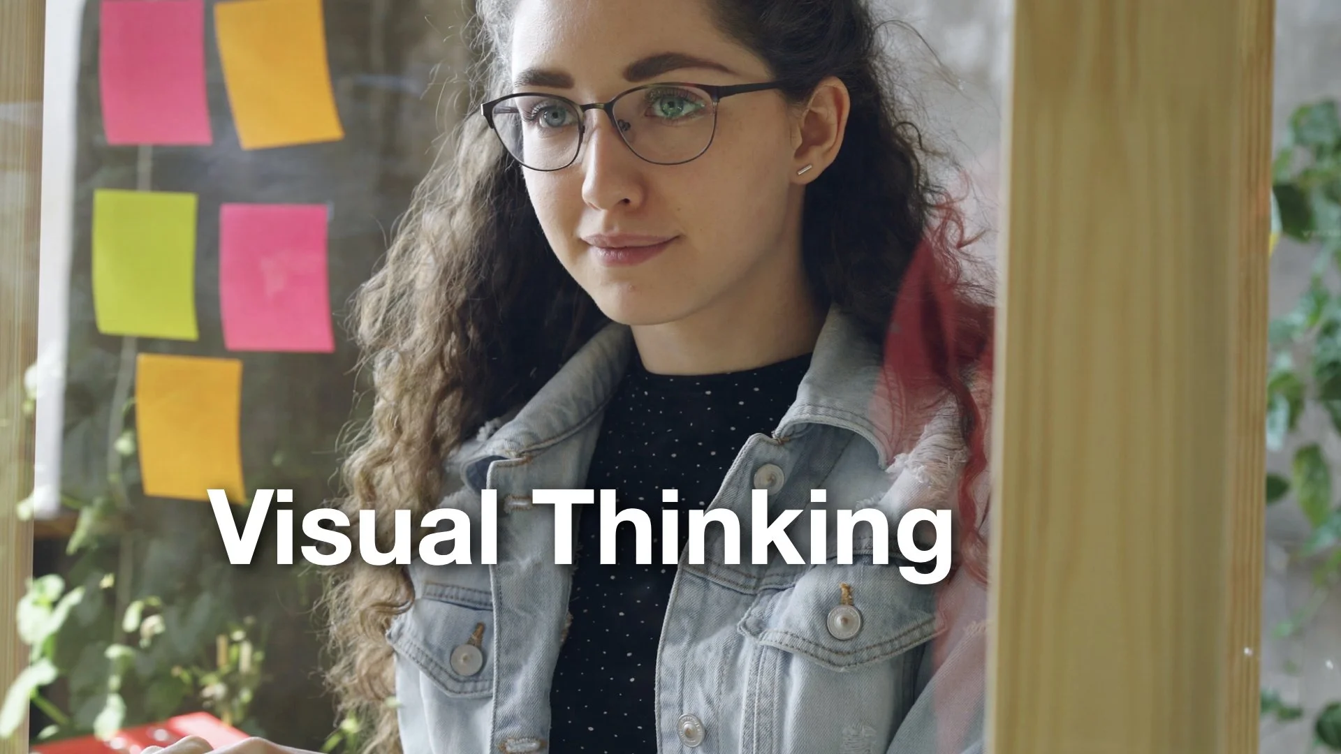 On Visual Thinking