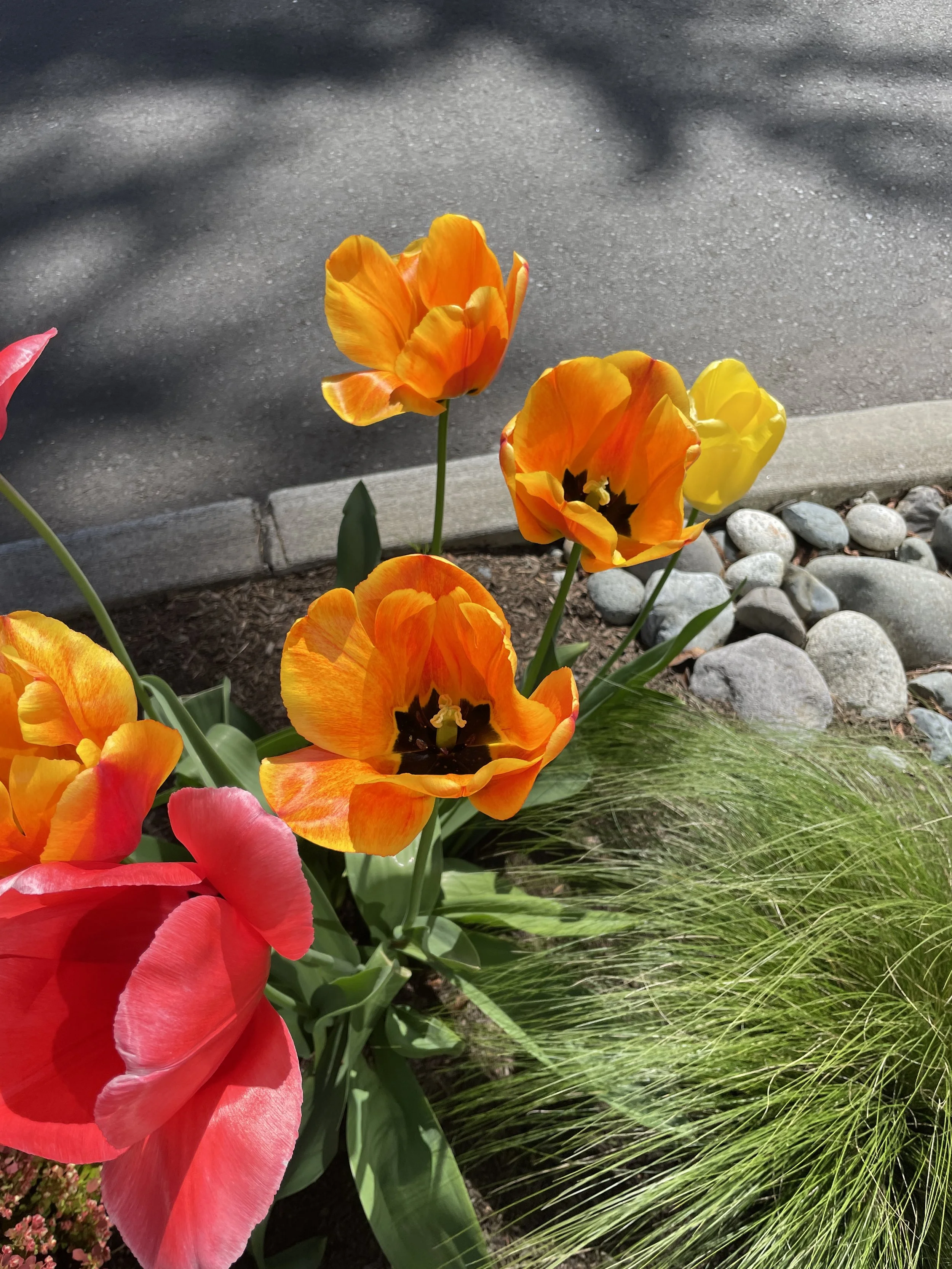 FOUR YEARS OF FLOWERS