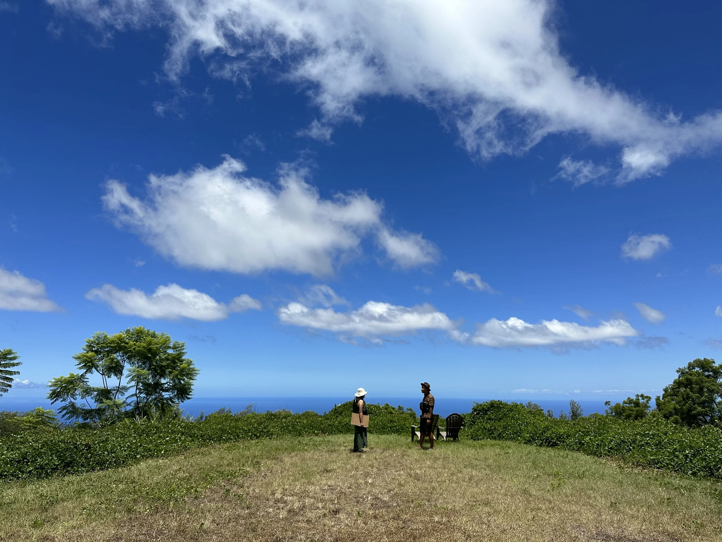 BIG ISLAND ARCHITECTURE - F.JPG