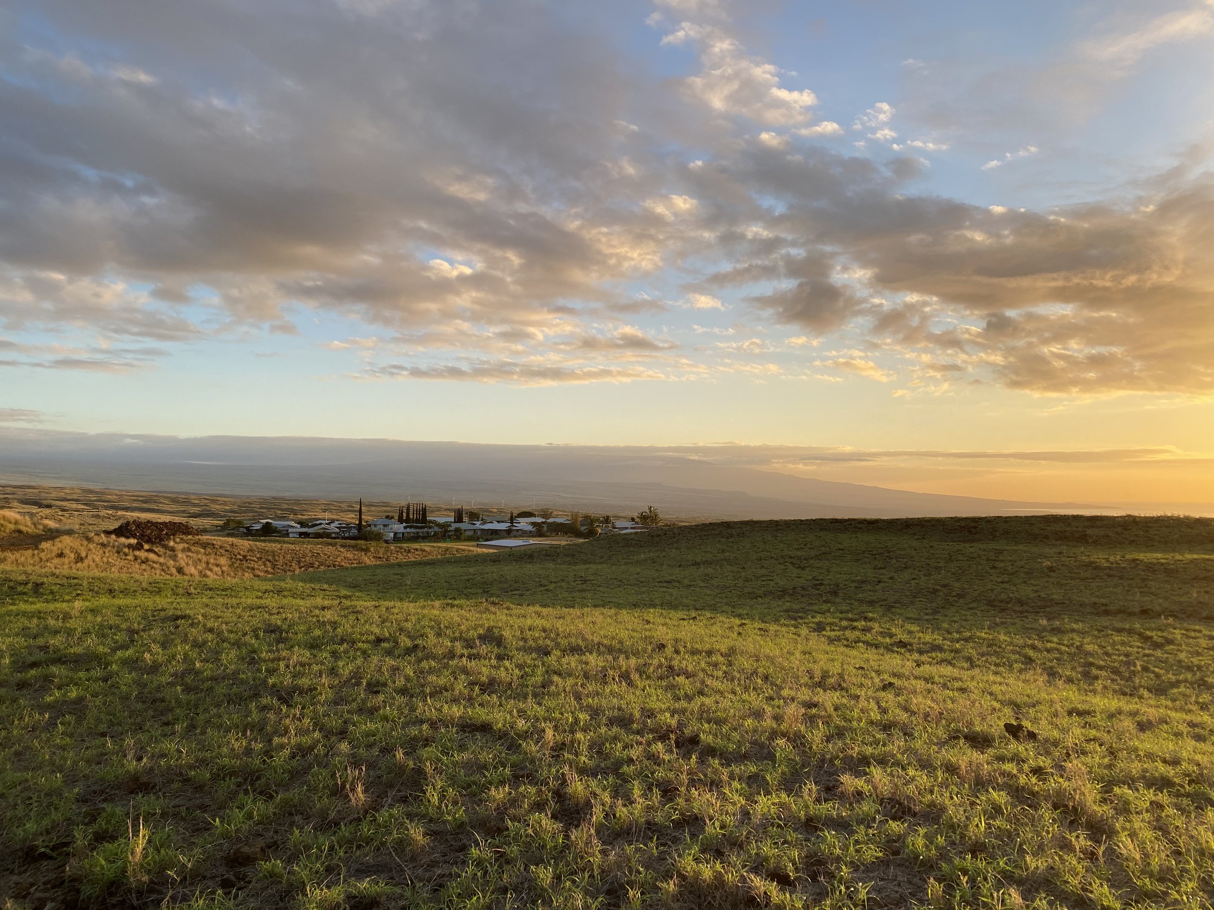 Hamajang Studio - Anekona 6.JPG