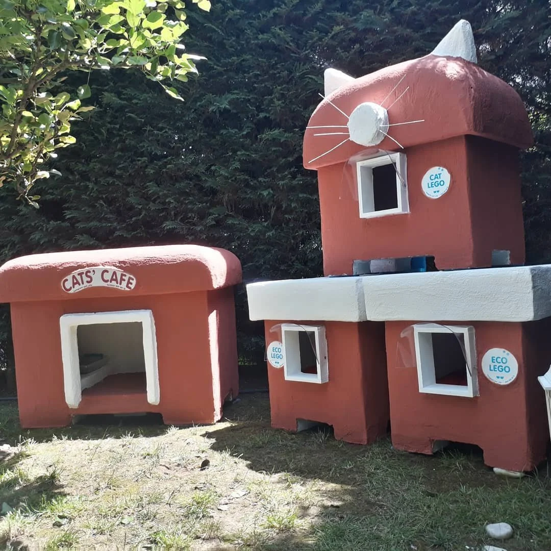 WhatsApp Image 2019-06-03 at 18.24.50.jpeg