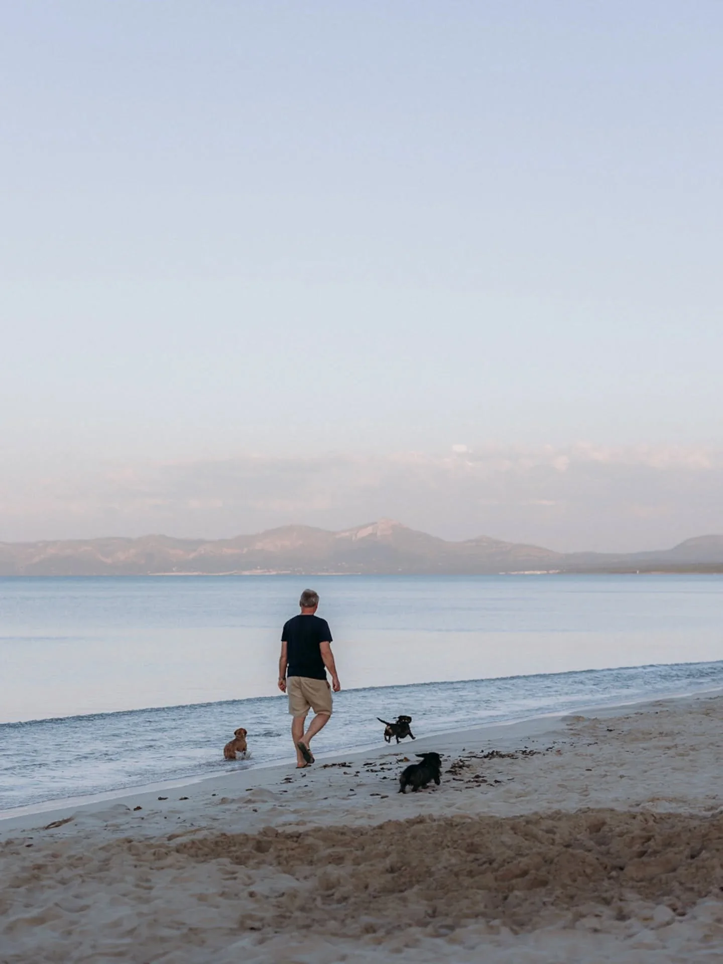 Playa d'Albufera, Mallorca 2026