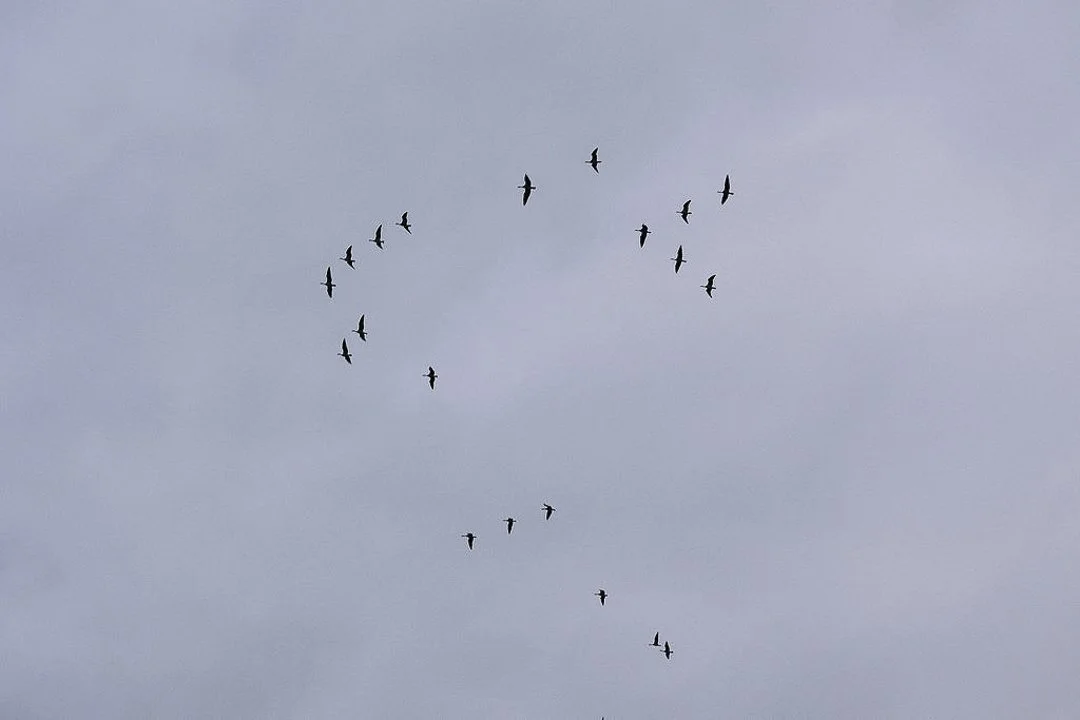 Salla Vesa-Tikkanen Photography-323.jpg