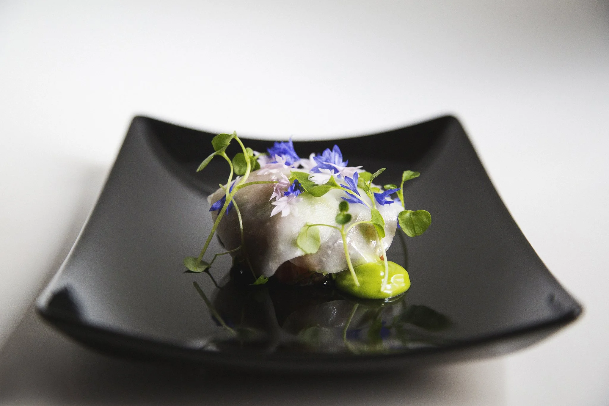 Salla Vesa-Tikkanen Photography-1.jpg