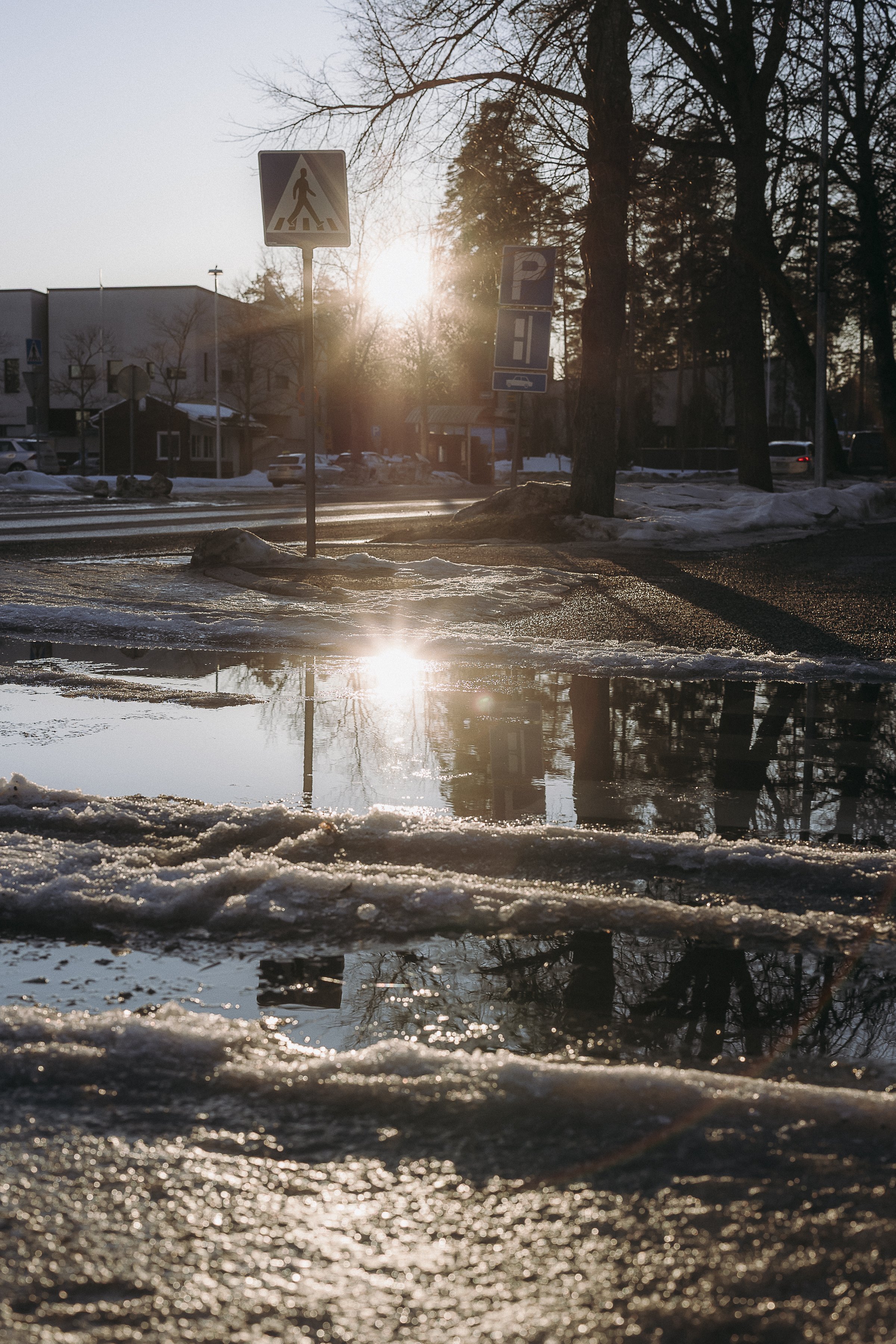 SallaVesa-TikkanenPhotography-9(1).jpg