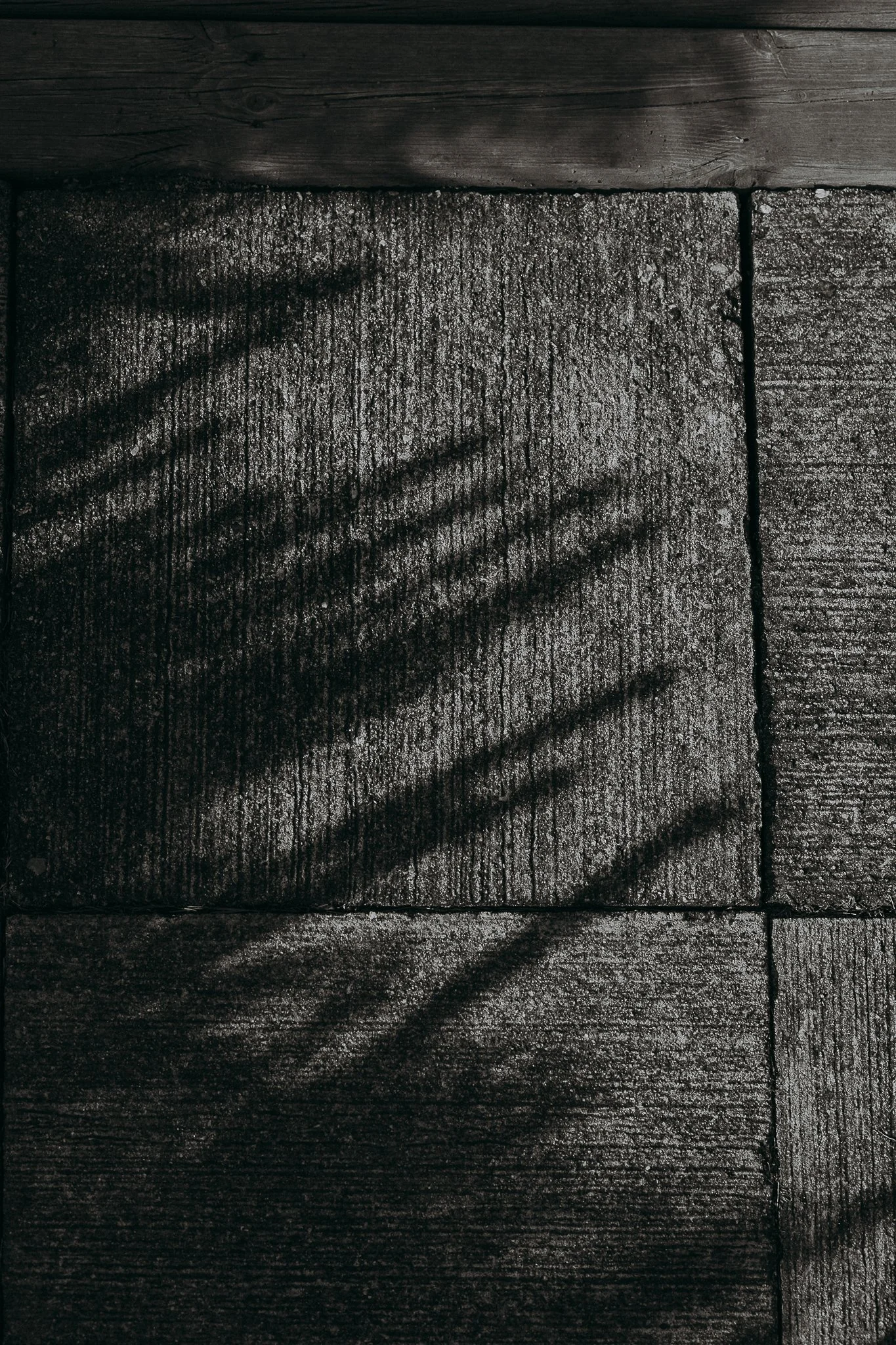 Salla Vesa-Tikkanen Photography-80.jpg