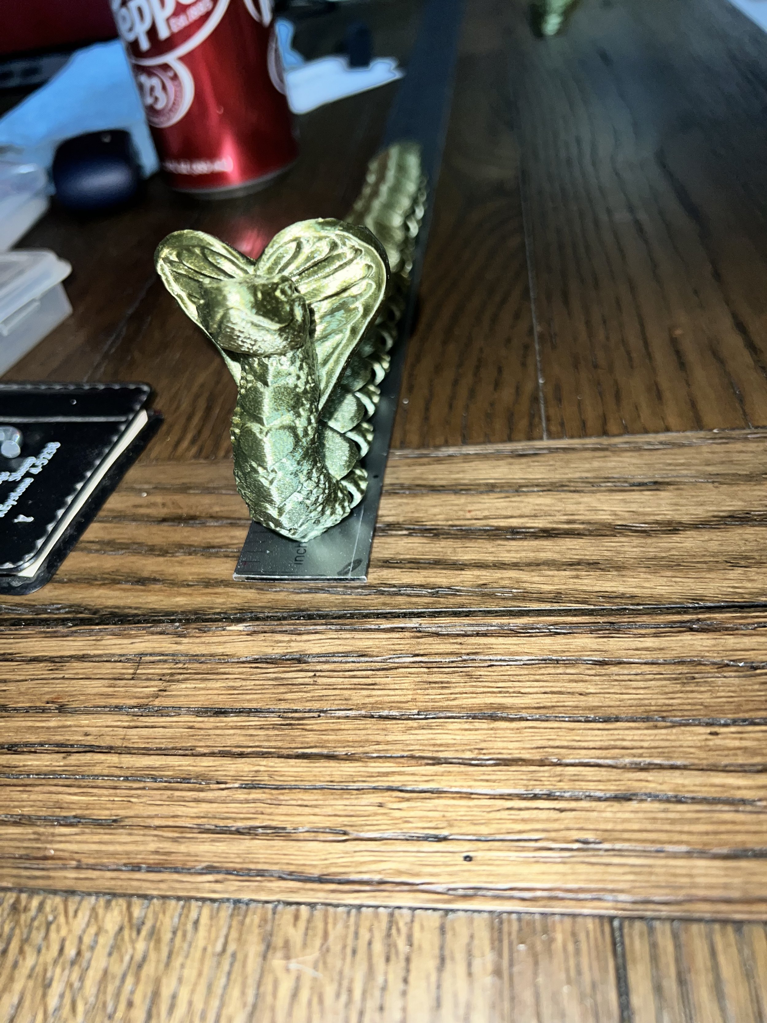 IMG_1408.jpeg