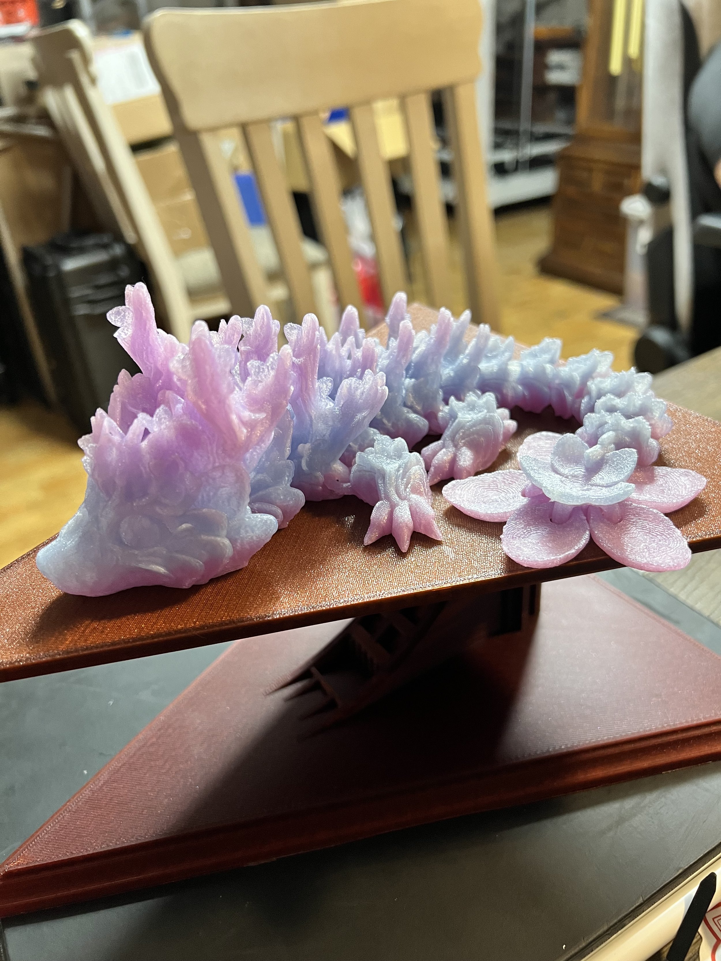 Young Cherryblossom Dragon
