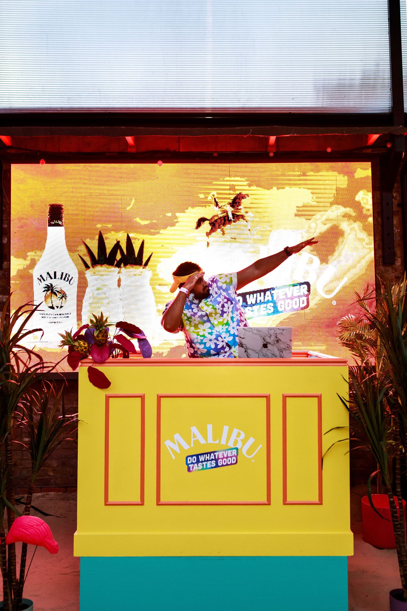 Malibu Banner 1.jpg