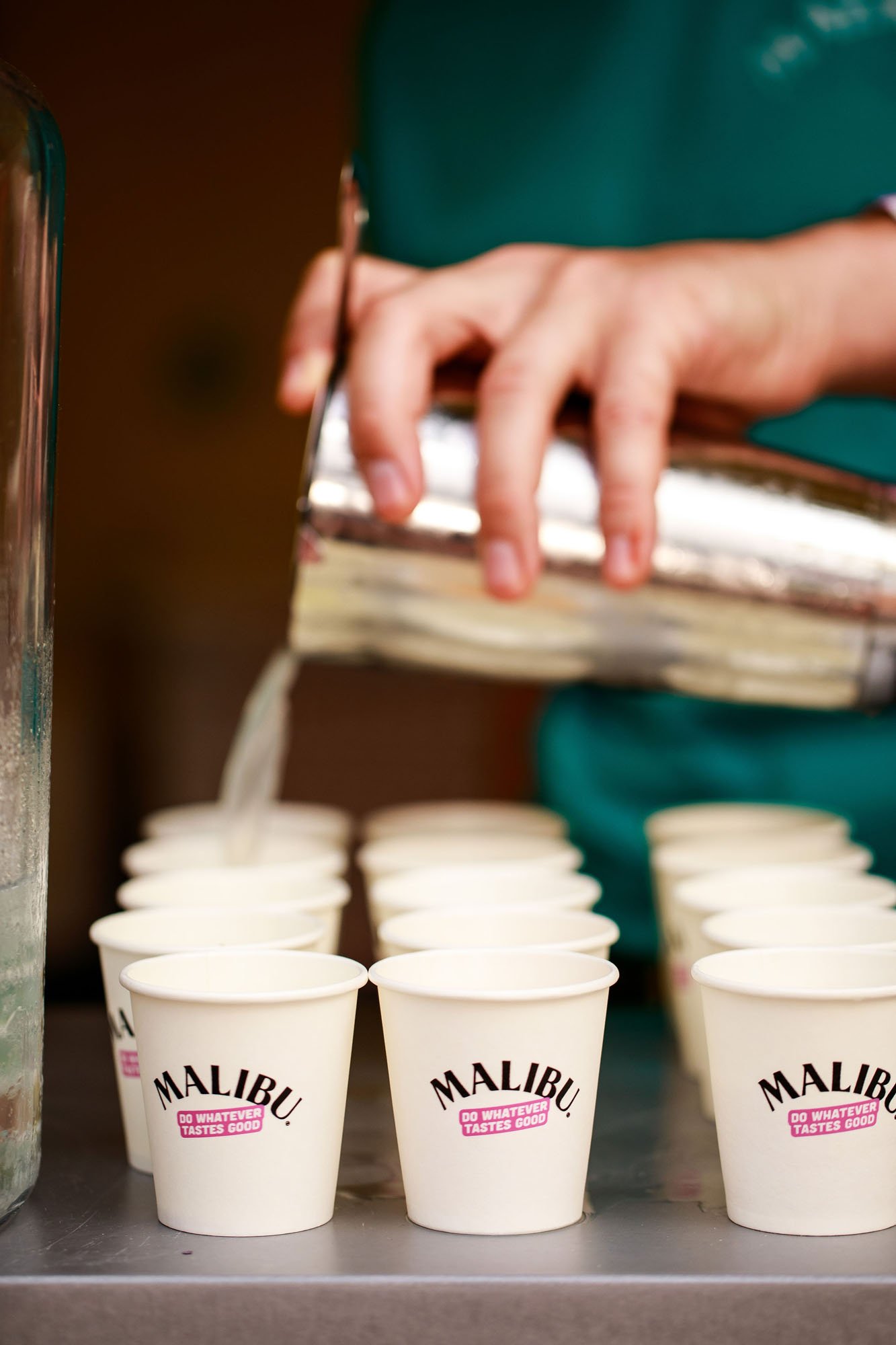 Malibu Banner 3.jpg