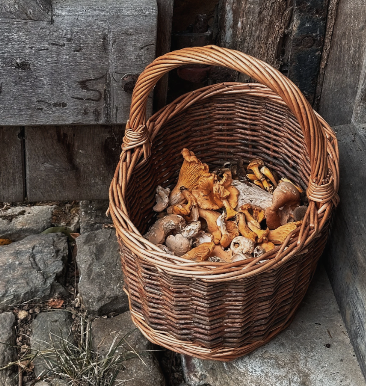 Screenshot 2026-04-20 at 20.29.09.png