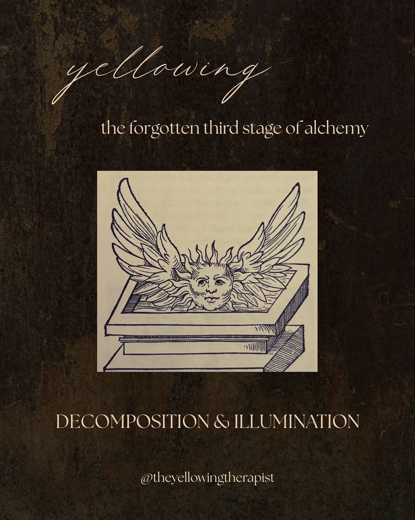 The Yellowing Therapist emerged 
from my own experience of 
crossing the Midlife threshold. 
Around 37, 
the onset of Midlife from an astrological perspective, 
my life began to unravel; 
life-long, guiding dreams were not materialising, 
I was outg