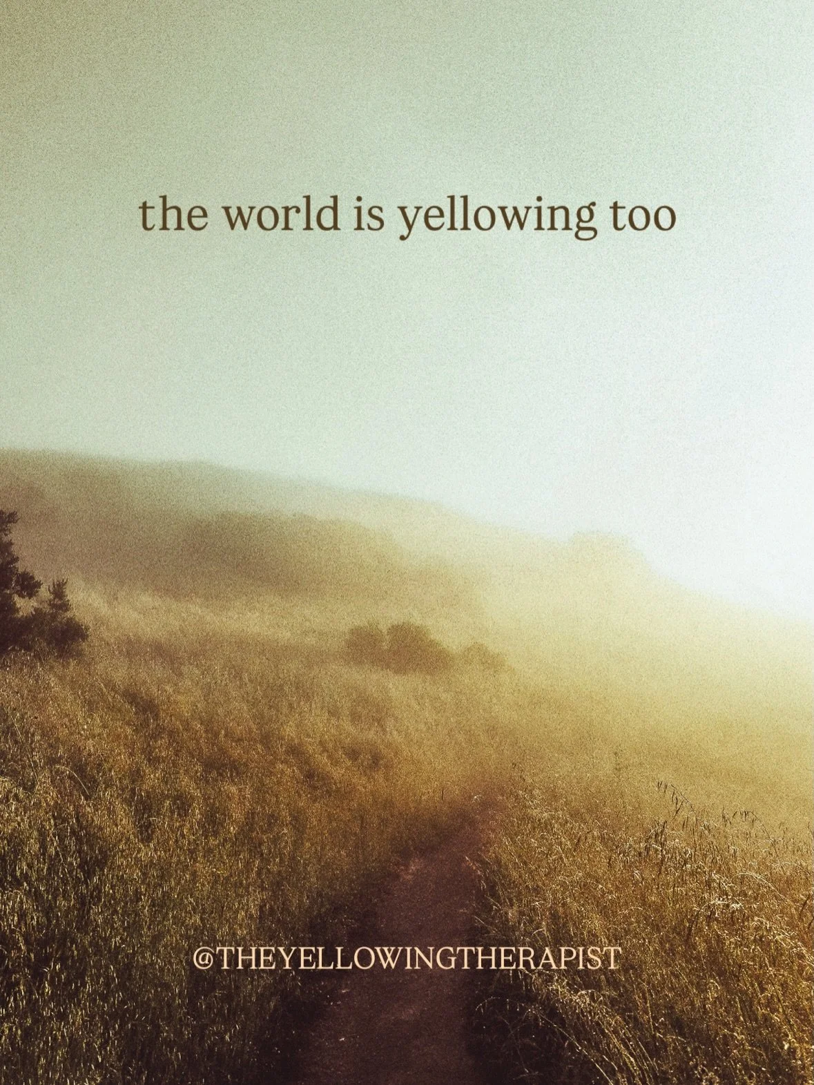 thoughts that have been brewing within
as I&rsquo;ve been deep in PhD writing
over the last couple weeks,
while the world is continuing to fall apart,
break down,
break open.

interestingly, researching the historical circumstances of the yellowing&r