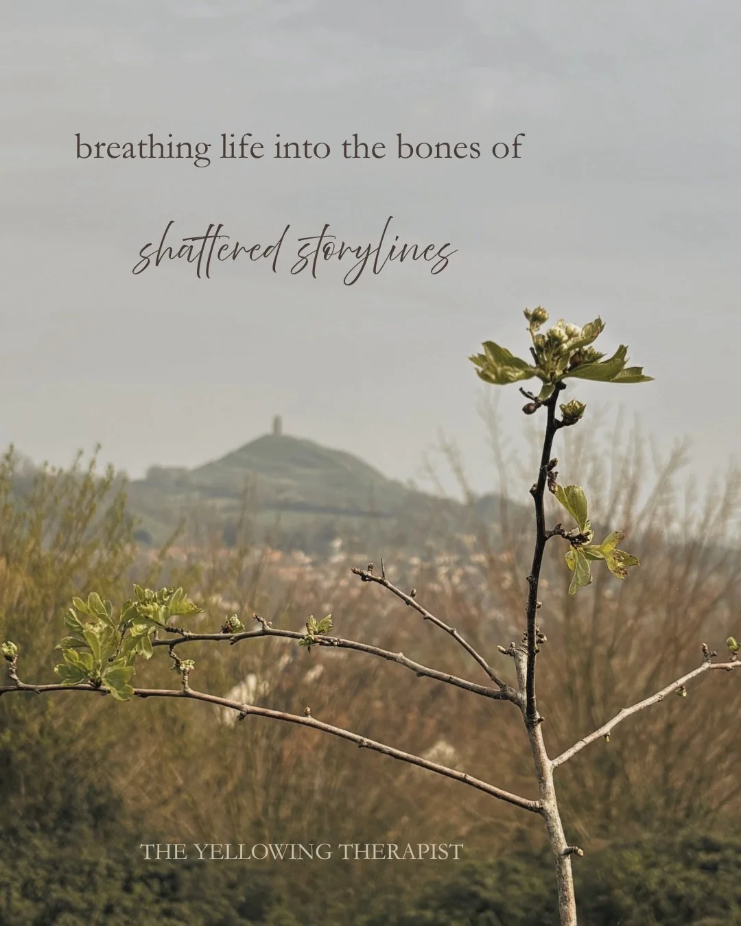 March was a journey, a passage and a re-membering.
a return, a deepening and a re-orientation.
a backward glance, a pause and an honouring.

In mid-March, I got to share the Midlife Opus,
a creation that had been long in the making,
with a group of b