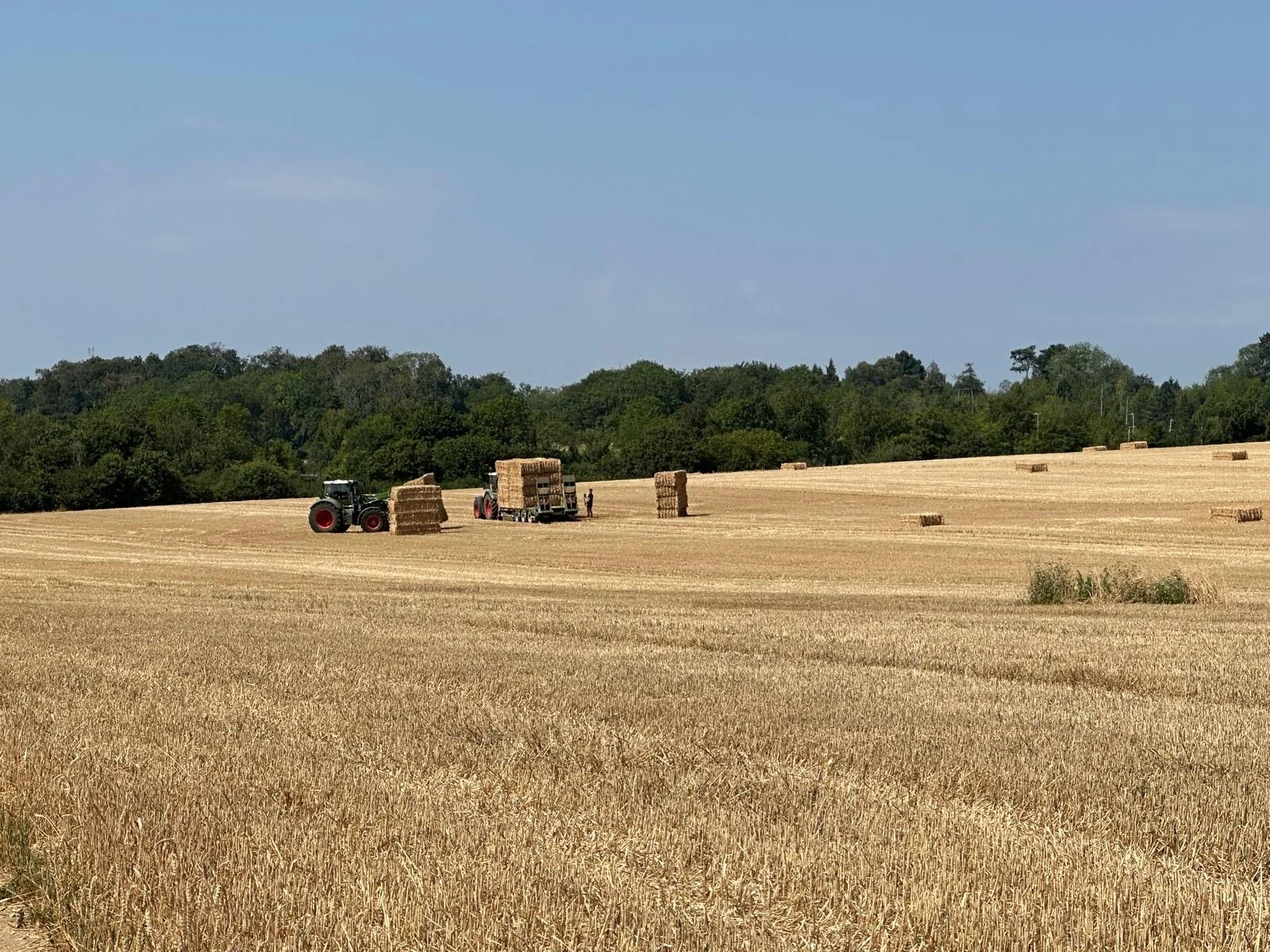 Harvest at Woodoaks Farm