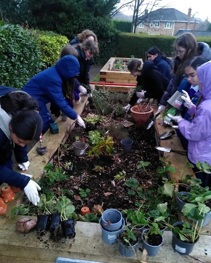 A closer look at High End Sustainable Workshops