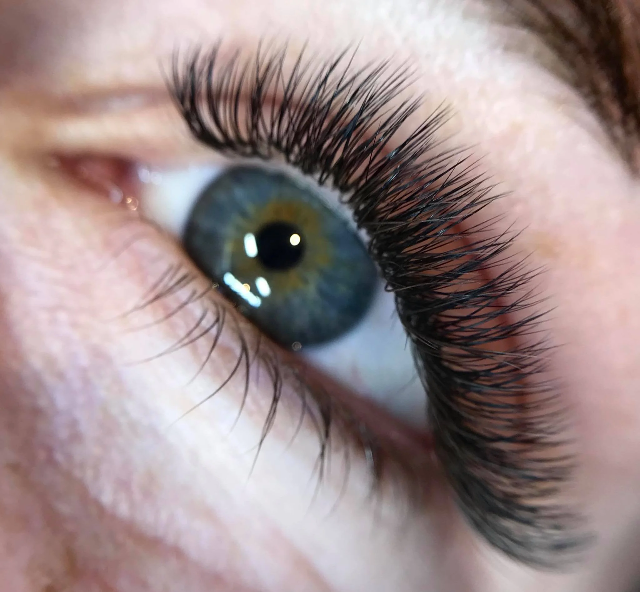 Hybrid Lash Extensions  Christchurch
