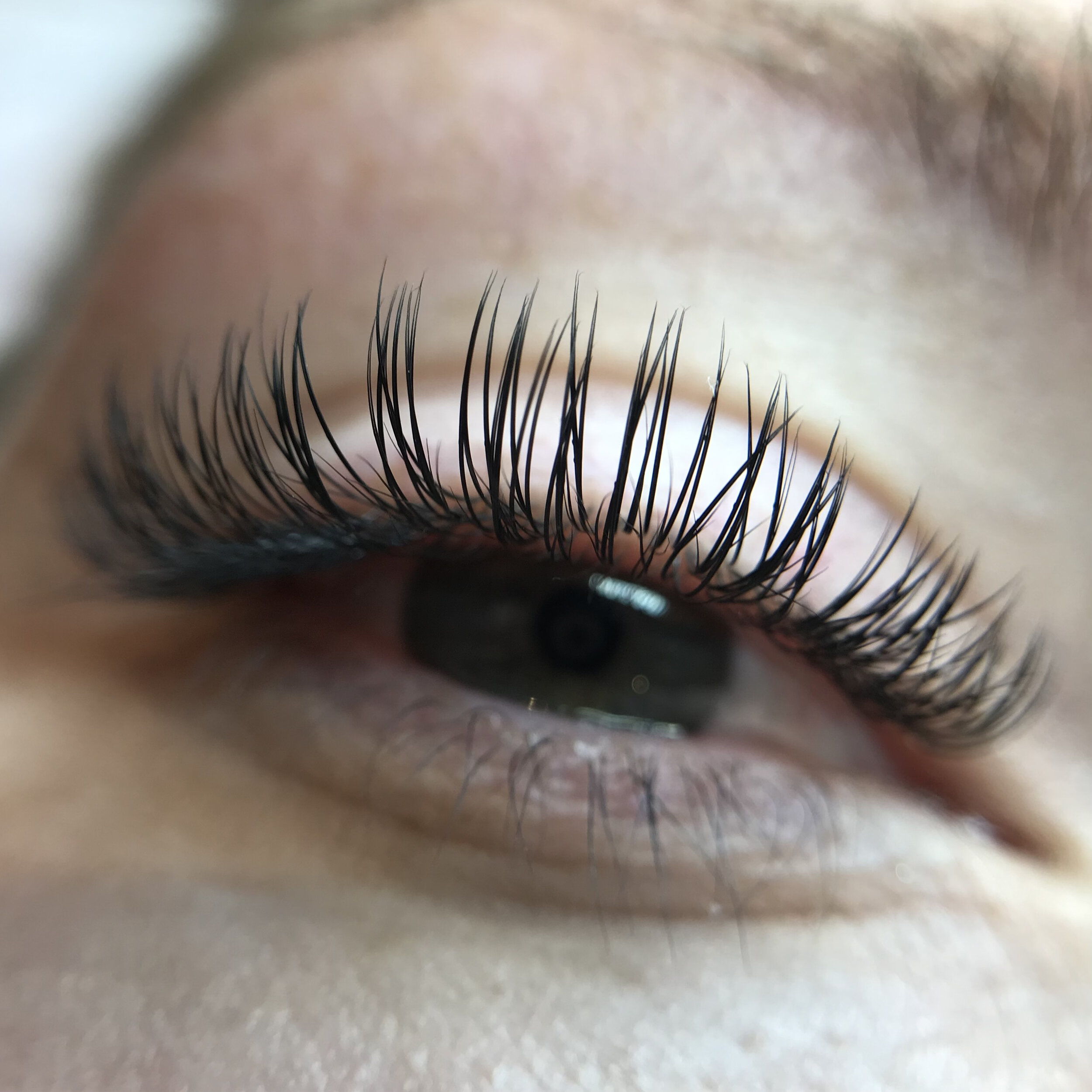 Flat Lash Classic Lash Extensions Christchurch