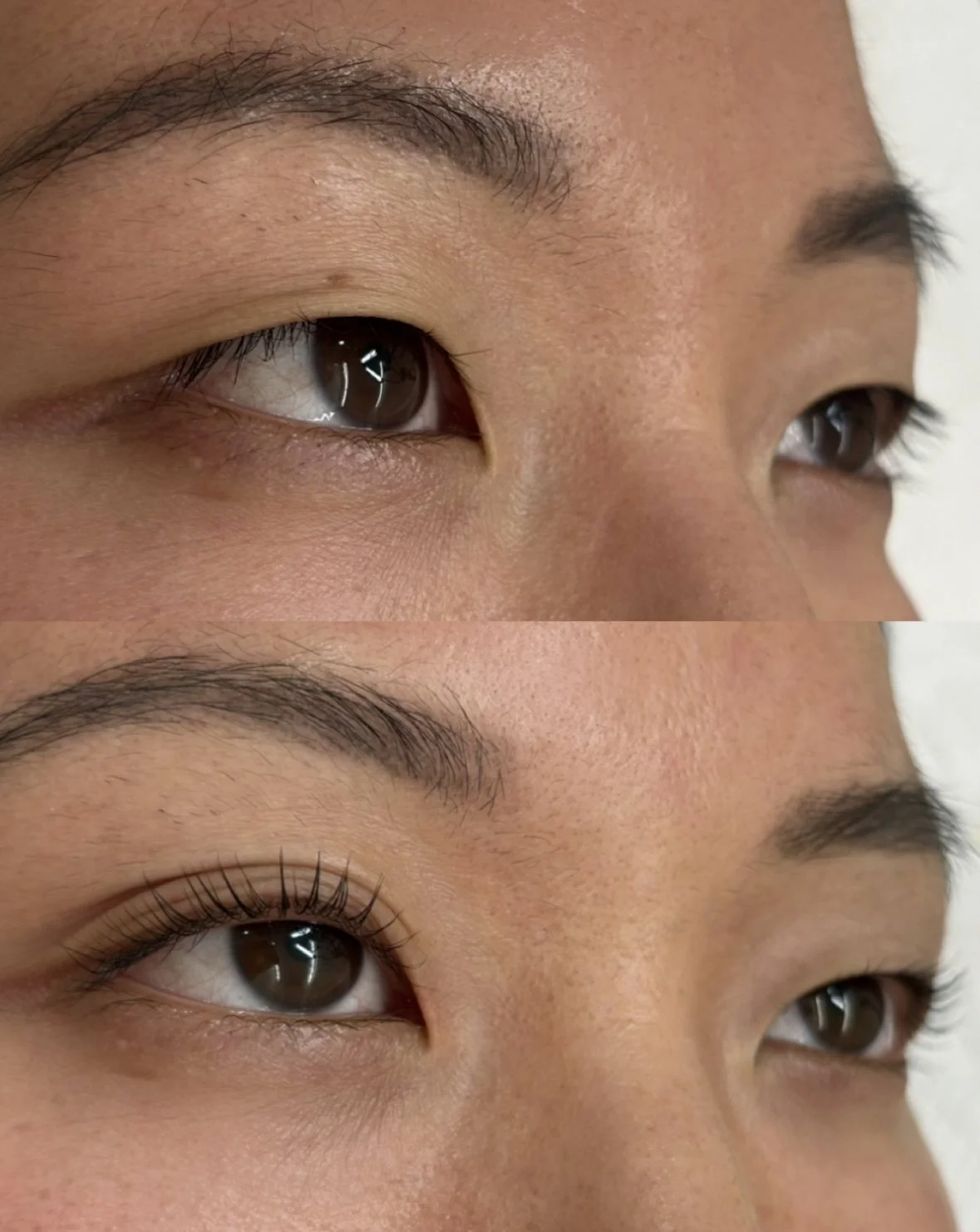 Before and After award winning lash lifts at proud beauty. Specialising in asian eyes.