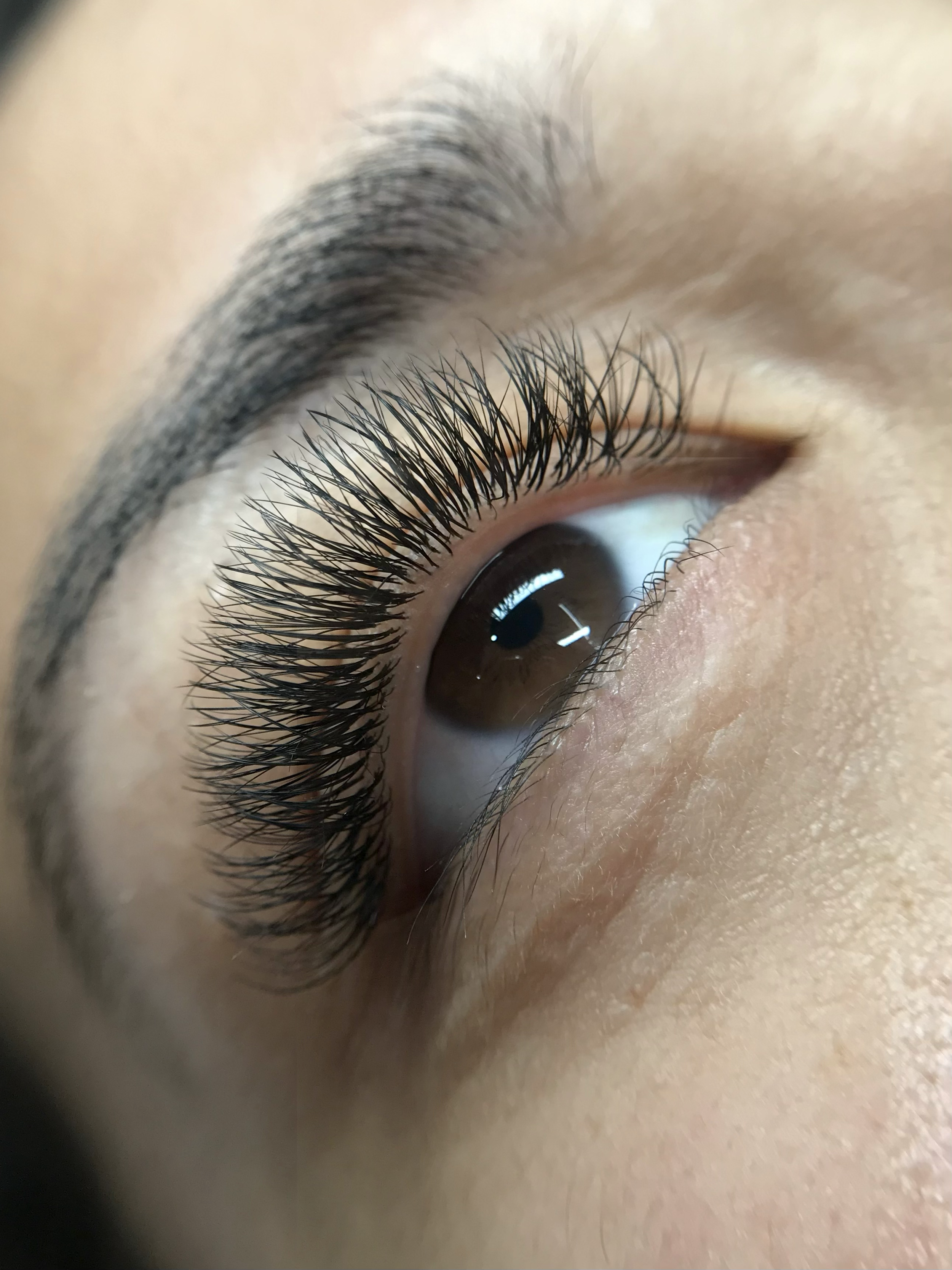 Asian lash extensions. Bespoke handmade russian volume extensions in Christchurch