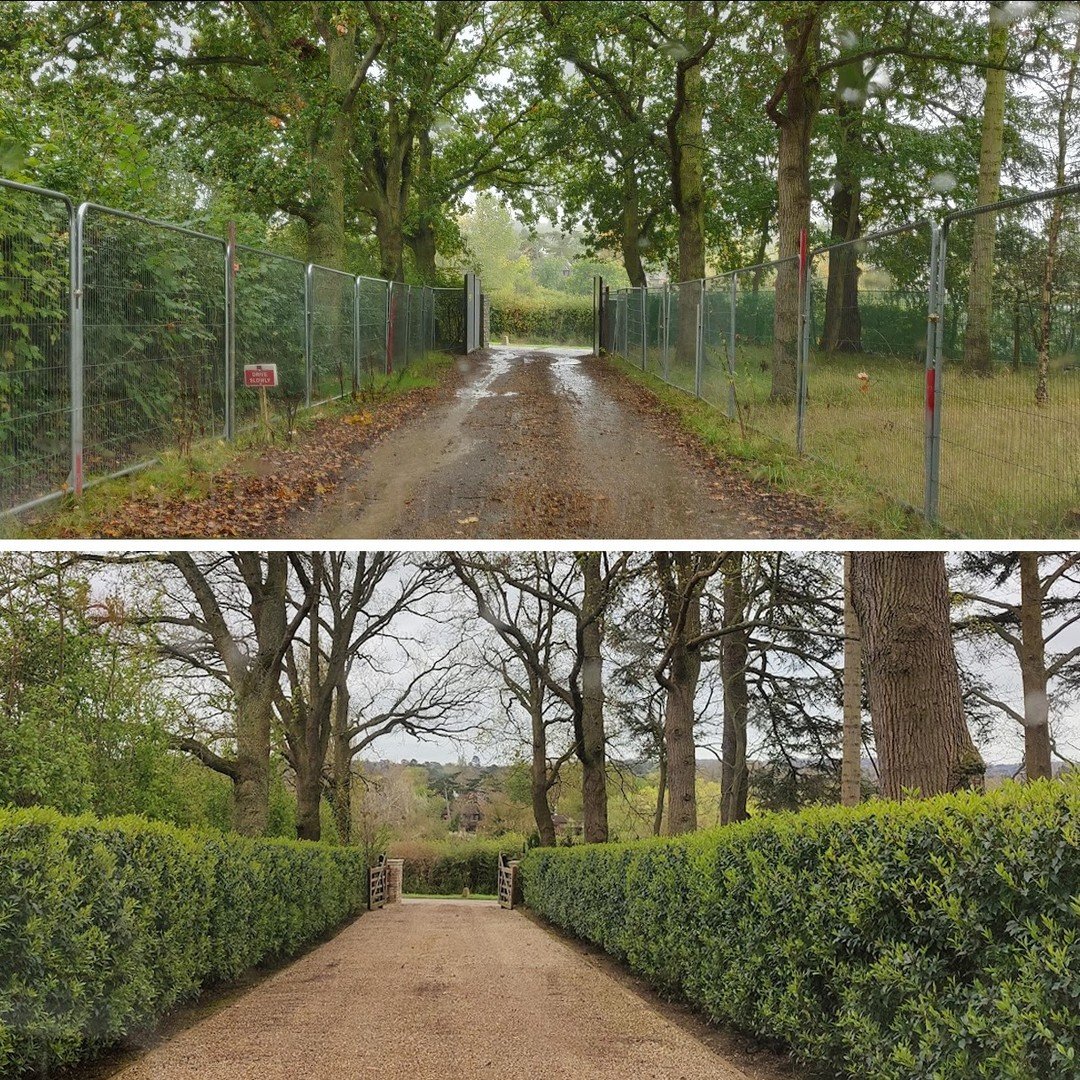 Before and after. Prunus lusitanica or Portugal laurel is a fantastic hedging plant and is thriving here 3 years after planting. It's lush and evergreen and has a upright structure that can be kept pruned to keep tidy. It's also happy in shady areas 