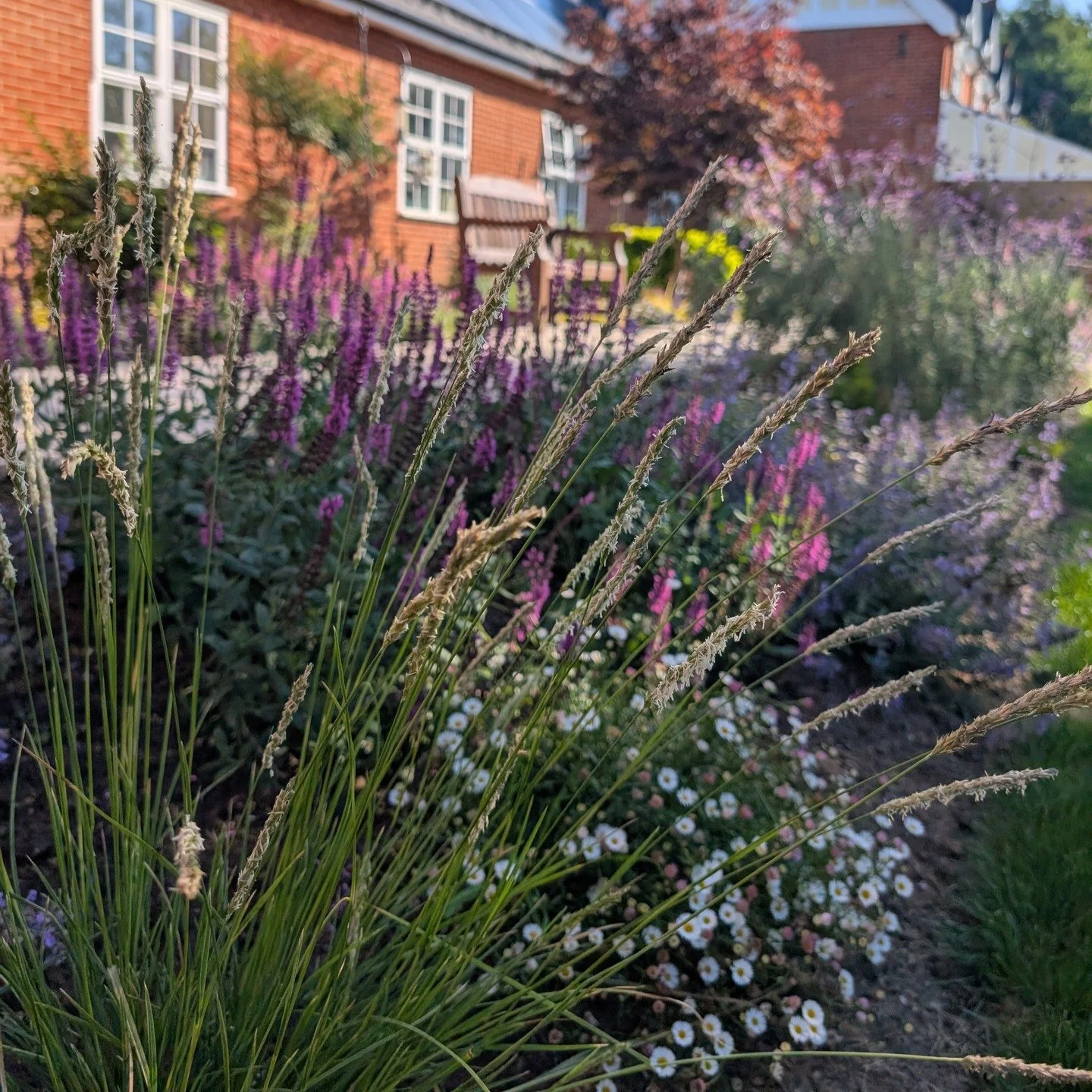Recently completed, the Pet Therapy garden at the Princess Christian care home is now a resident and animal-friendly space; easy to navigate, spacious and calm. See the last photo of how it looked before. 

The new design included aromatic and sensor