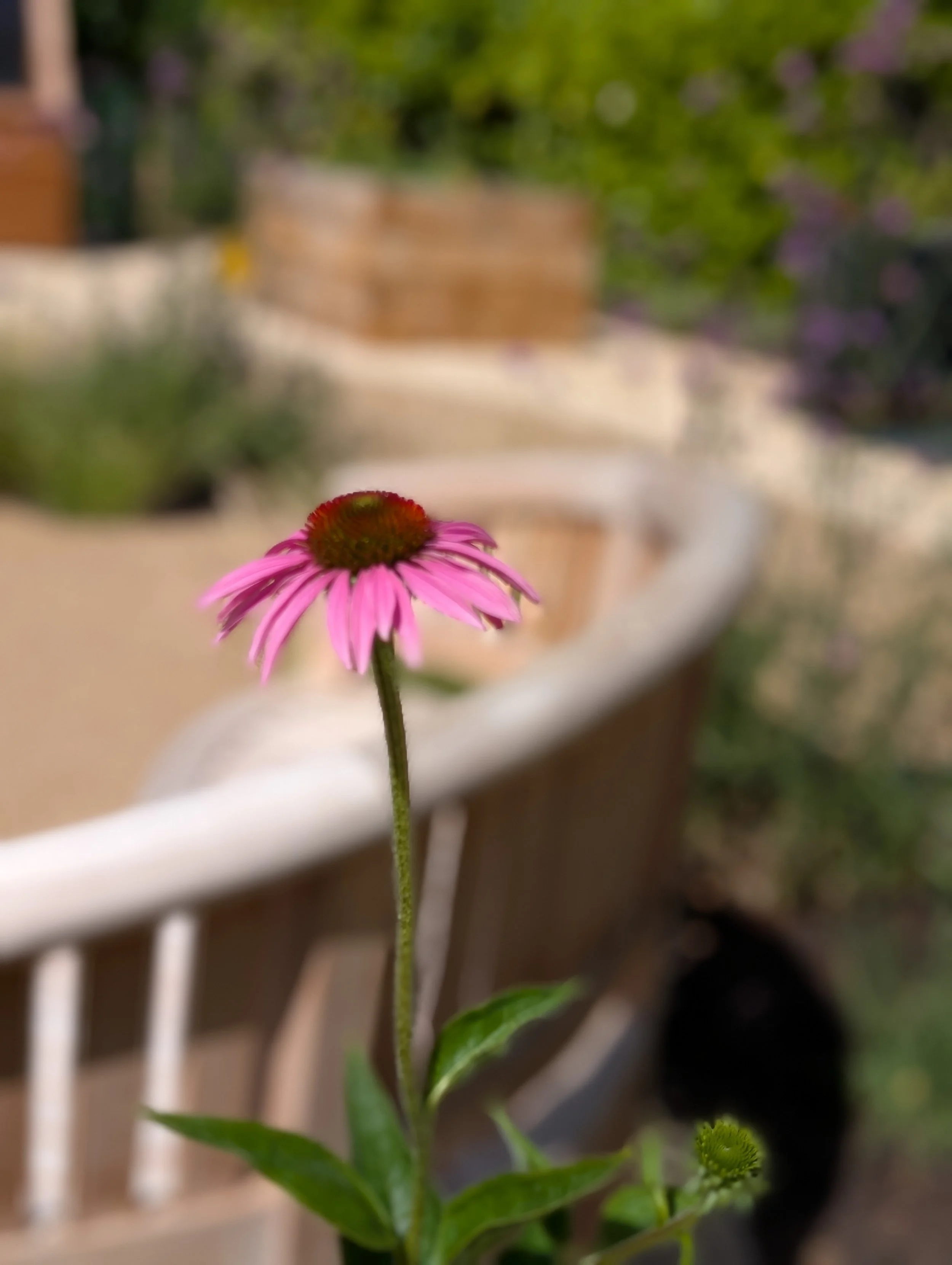 SURREY RESIDENTIAL HOME