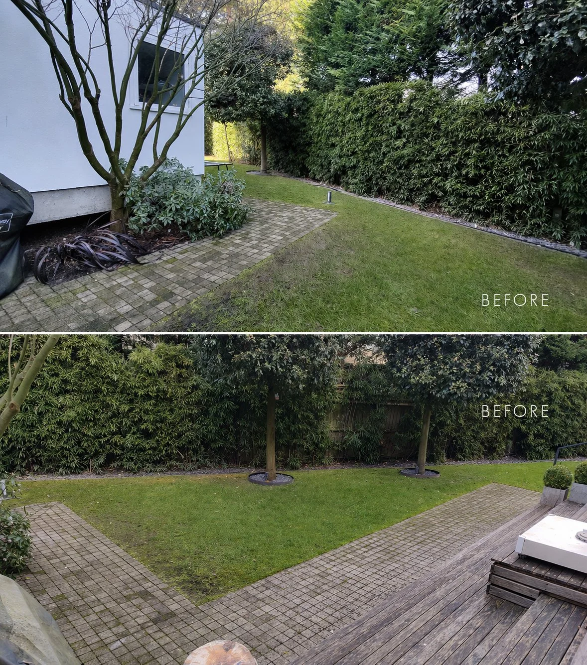 Before shot.jpg