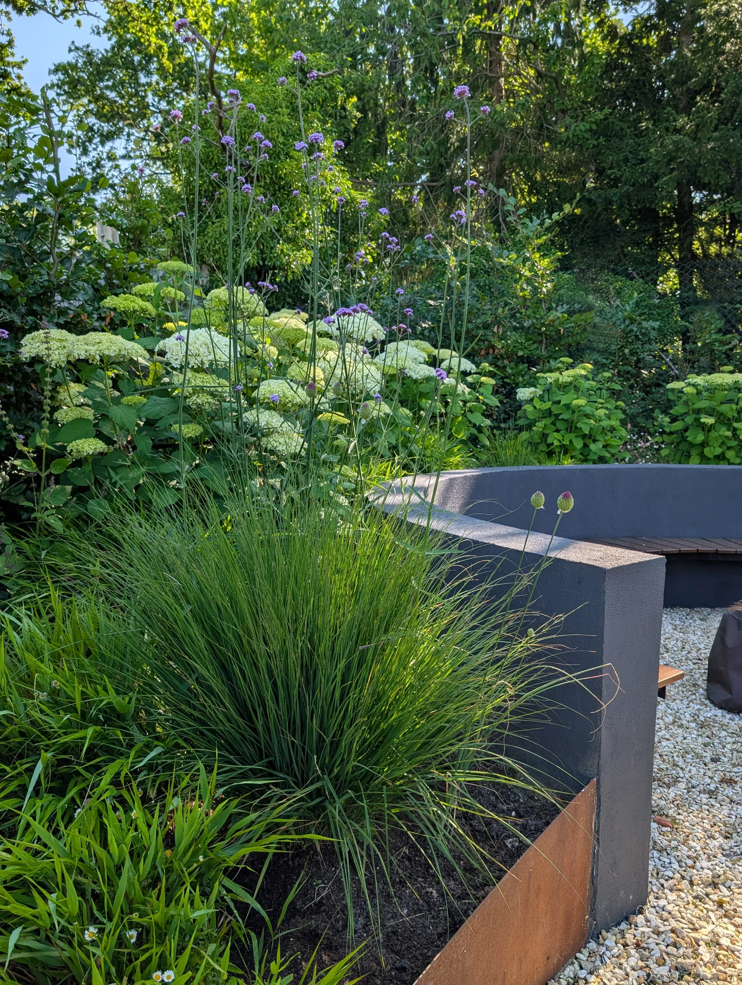 firepit.jpg