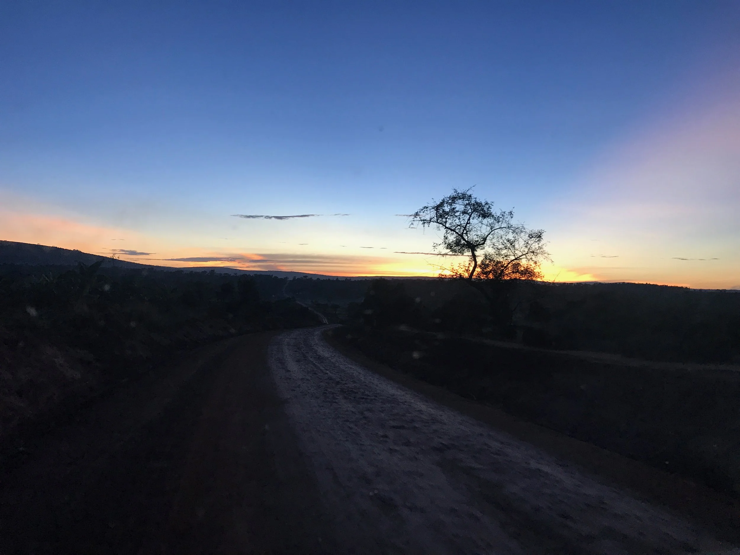 Ein Weg, umgeben von landwirtschaftlich genutztem Land, bei Sonnenuntergang mit einem Baum im Vordergrund und einem mehrfarbigen Himmel.