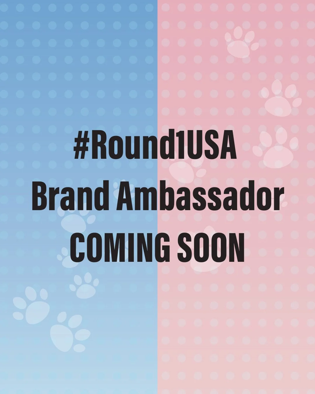 Quick! You get 3 hints: Pink 🩷, Blue 💙, and &quot;BAU BAU!!&quot; 🐾 Who could the newest Round1USA Brand Ambassadors be? Comment your guesses! 

#Round1USA #round1