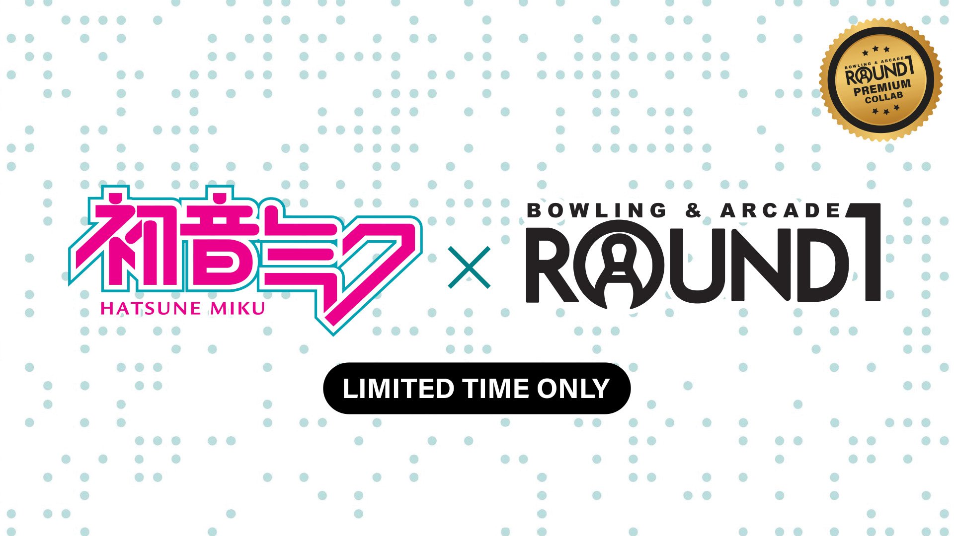 Hatsune Miku x Round1 