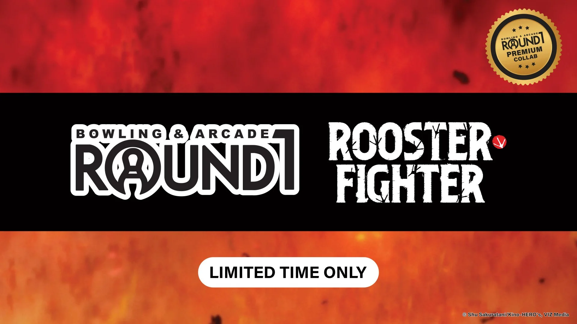 Rooster Fighter x Round1