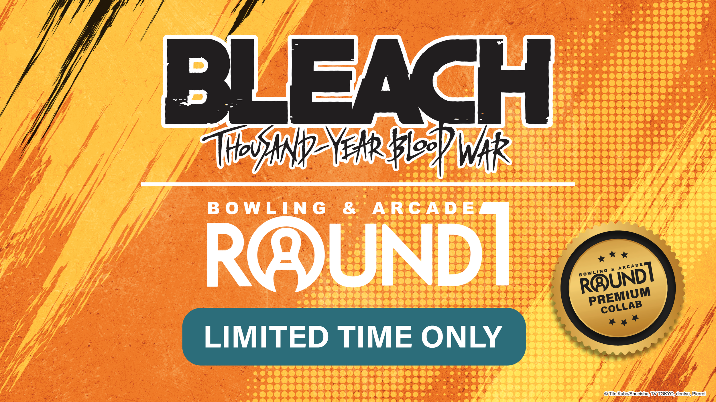 BLEACH: Thousand-Year Blood War (BLEACH TYBW) | Round1 