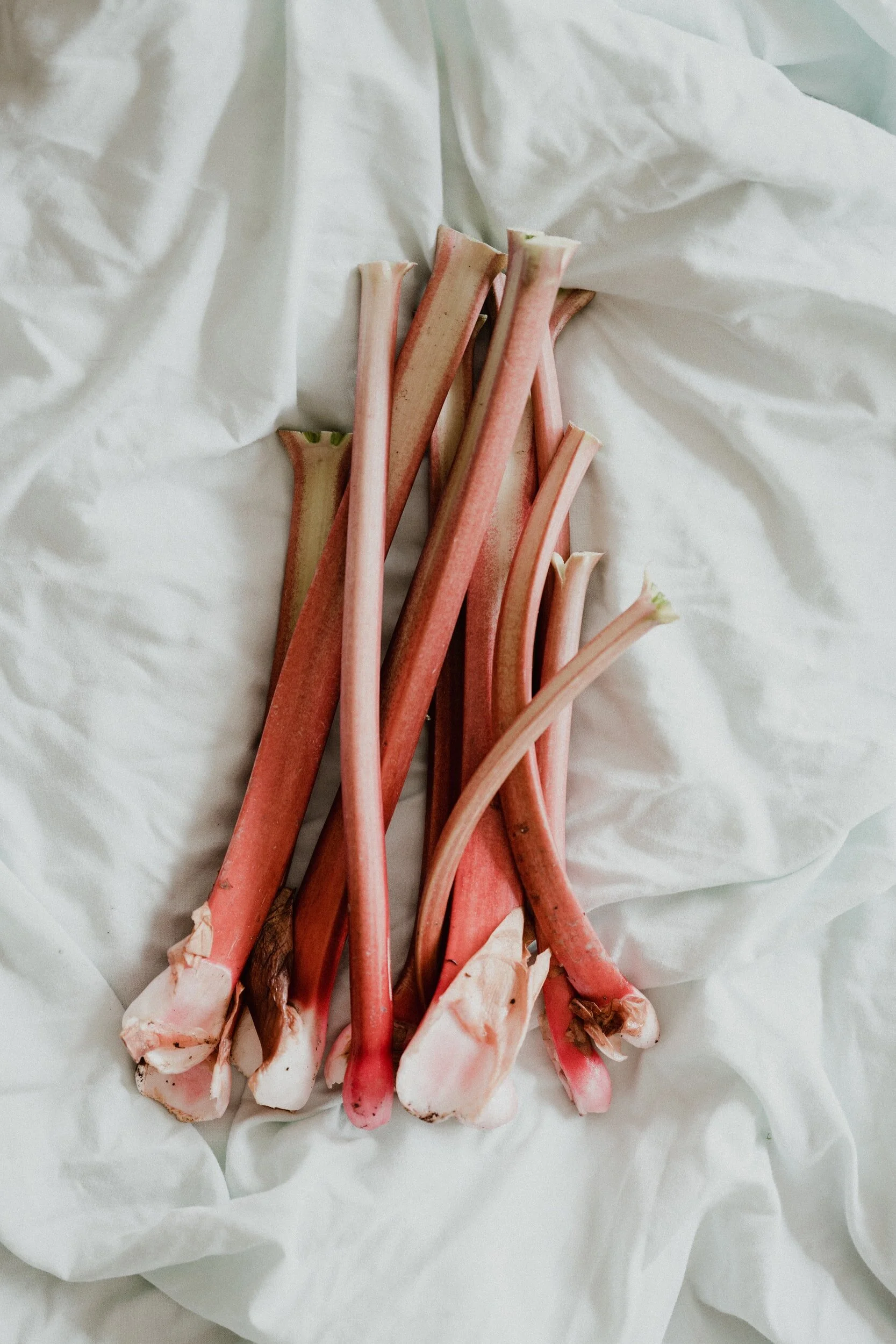 Homemade Rustic Rhubarb Polenta Cake