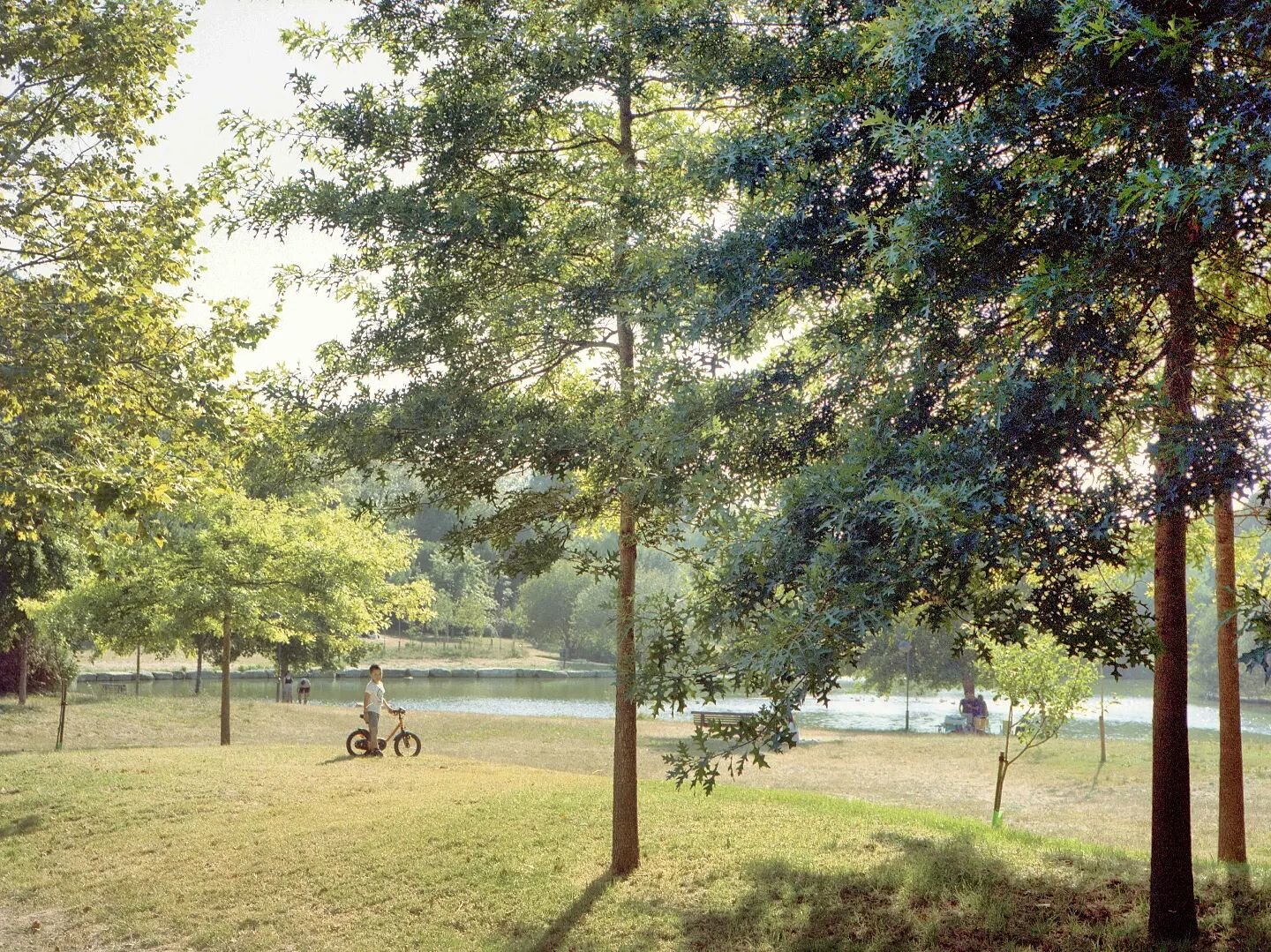 Porto on film ii

Fuji Ga645zi

Portra 400 

Scanned on silverfast 9